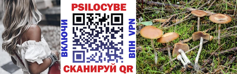 Псилоцибиновые грибы мицелий  Дно 